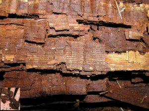 wood rot repair in kansas city